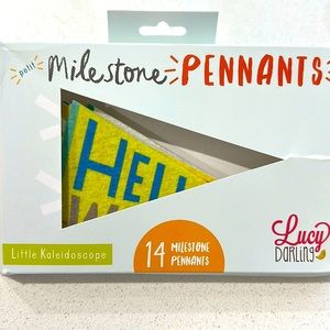 Little Kaleidoscope / Lucy Darling Petit Milestone Pennants